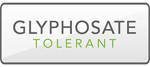 Glyphosate Tolerant